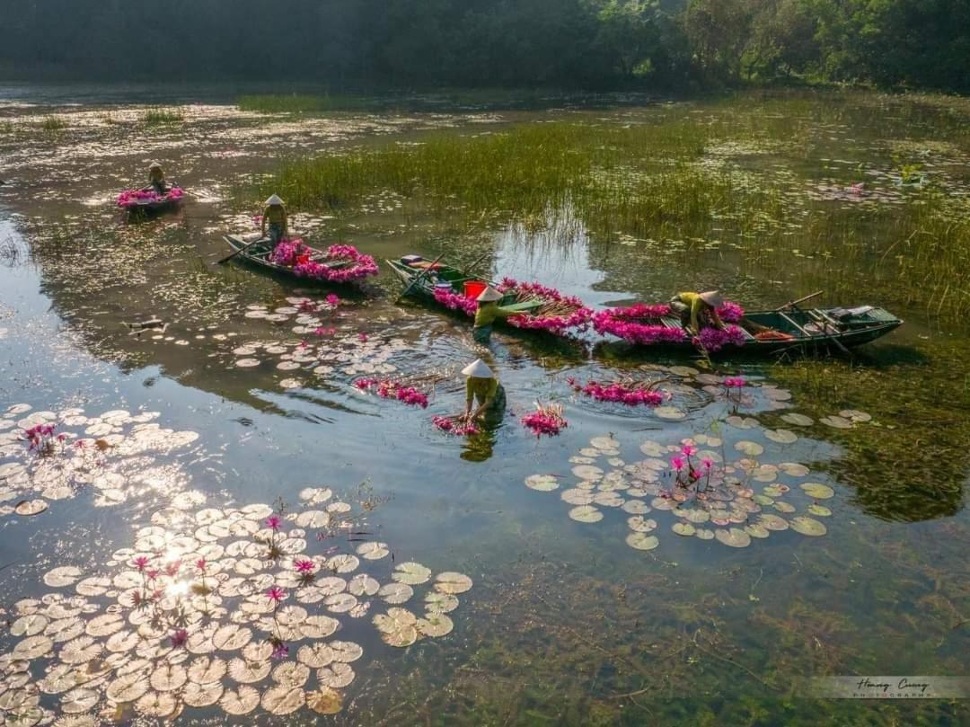 Tam Coc Paradise Homestay Ninh Binh Eksteriør bilde